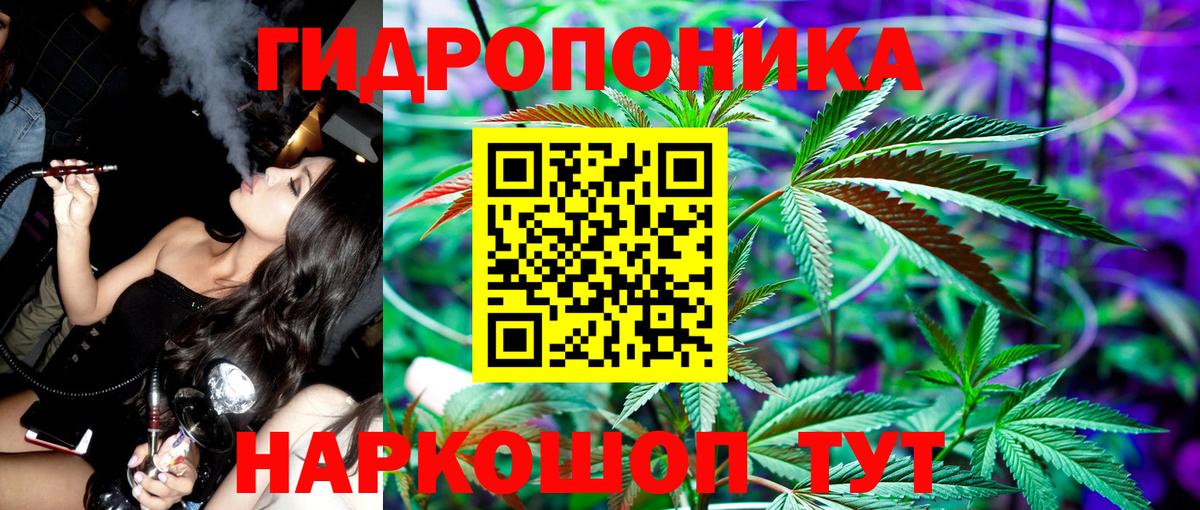 МАРИХУАНА план Владимир
